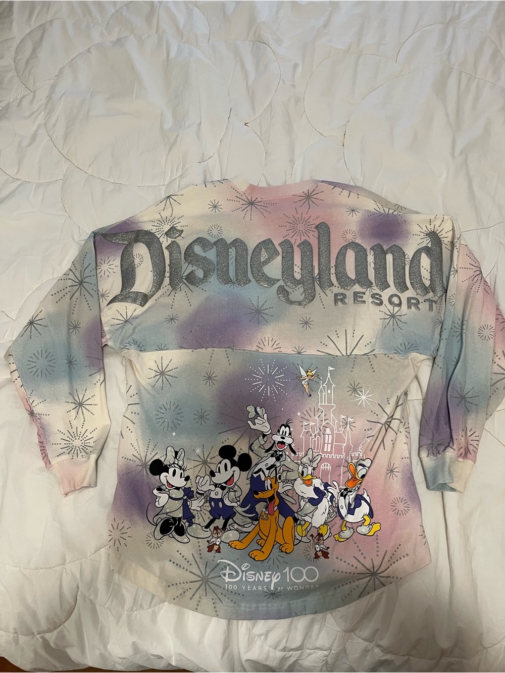 Disneyland spirit jersey
100 year anniversary